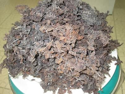 Dried sargassum power_ Ulva lactuca powder_ gracilaria powde